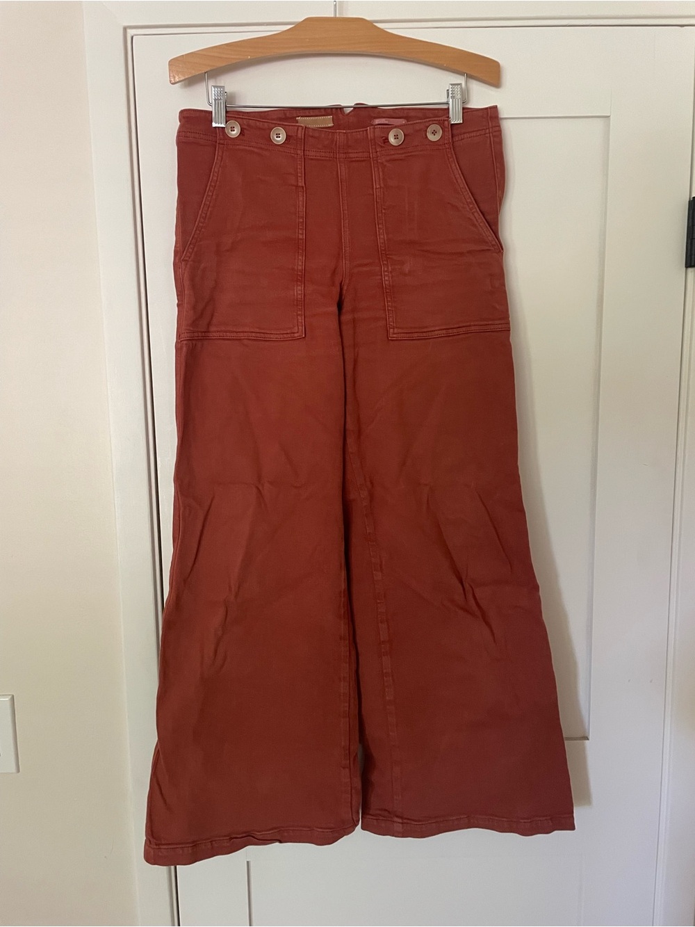 Pilcro Wide Leg Utility Pants in Rust
